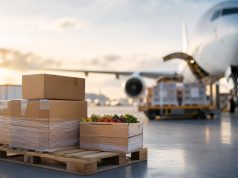 Expédier vos marchandises saisonnières sereinement grâce à un transitaire fret aérien